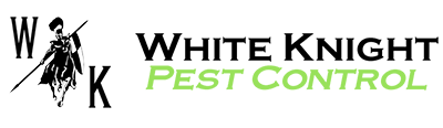 pest control chelmsford